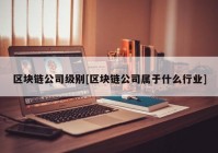 区块链公司级别[区块链公司属于什么行业]